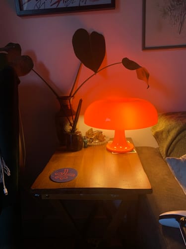 Customer photo review of Puffball Lamp | Blood Orange