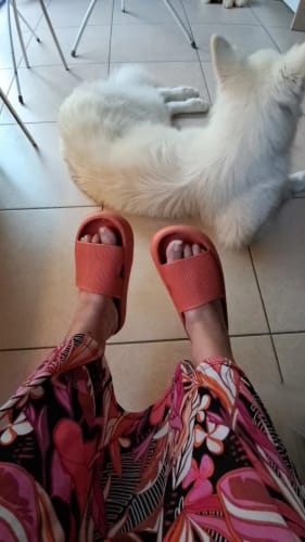 L R. review of Cloud Walk Cushioned Sliders image 1 out of 1