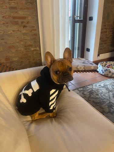 Customer photo review of Felpa "woof" Nera Personalizzabile con nome