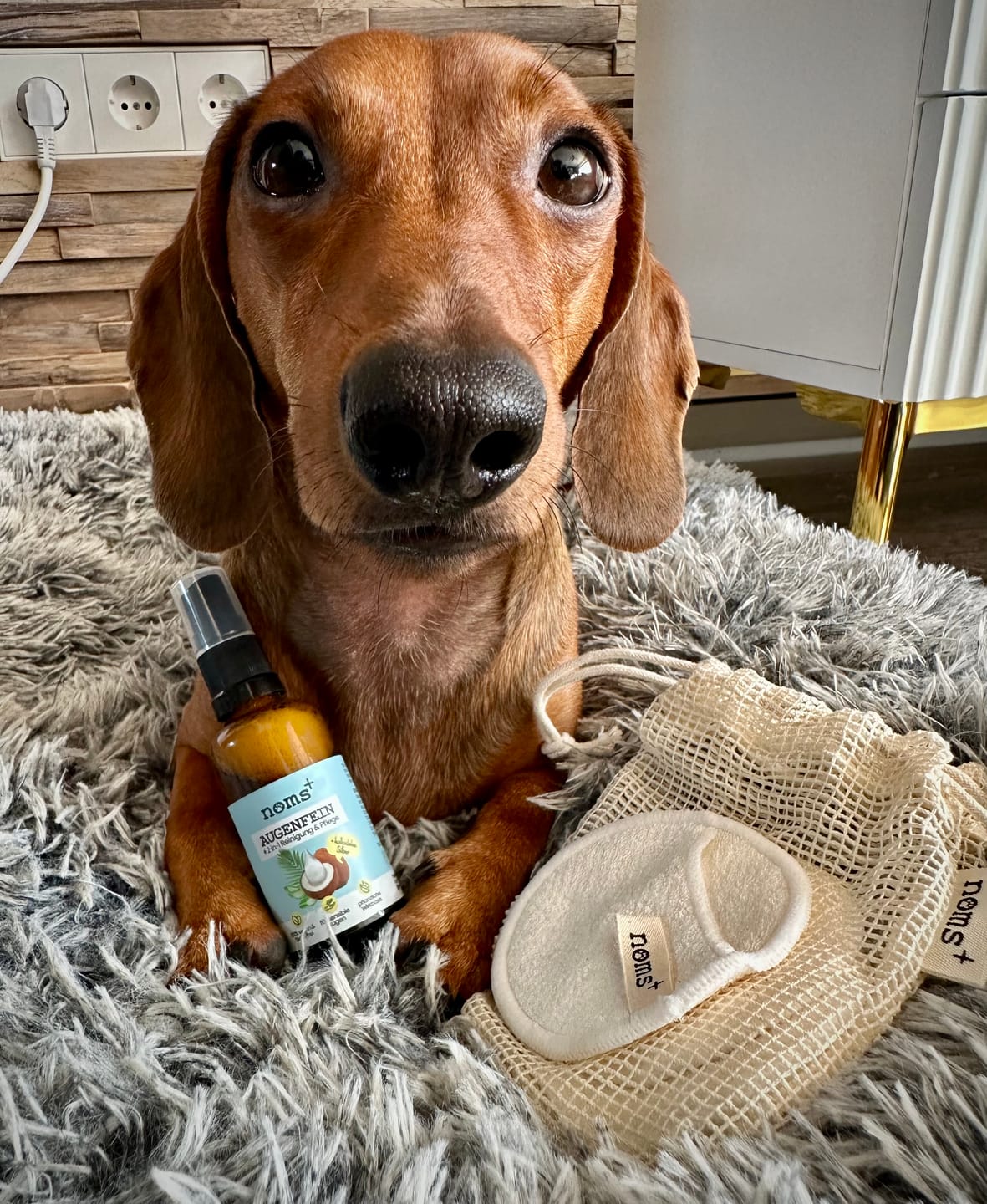 Customer photo review of 2-in-1 Augenfein Reinigung & Pflege für Hunde & Katzen mit kolloidalem Silber
