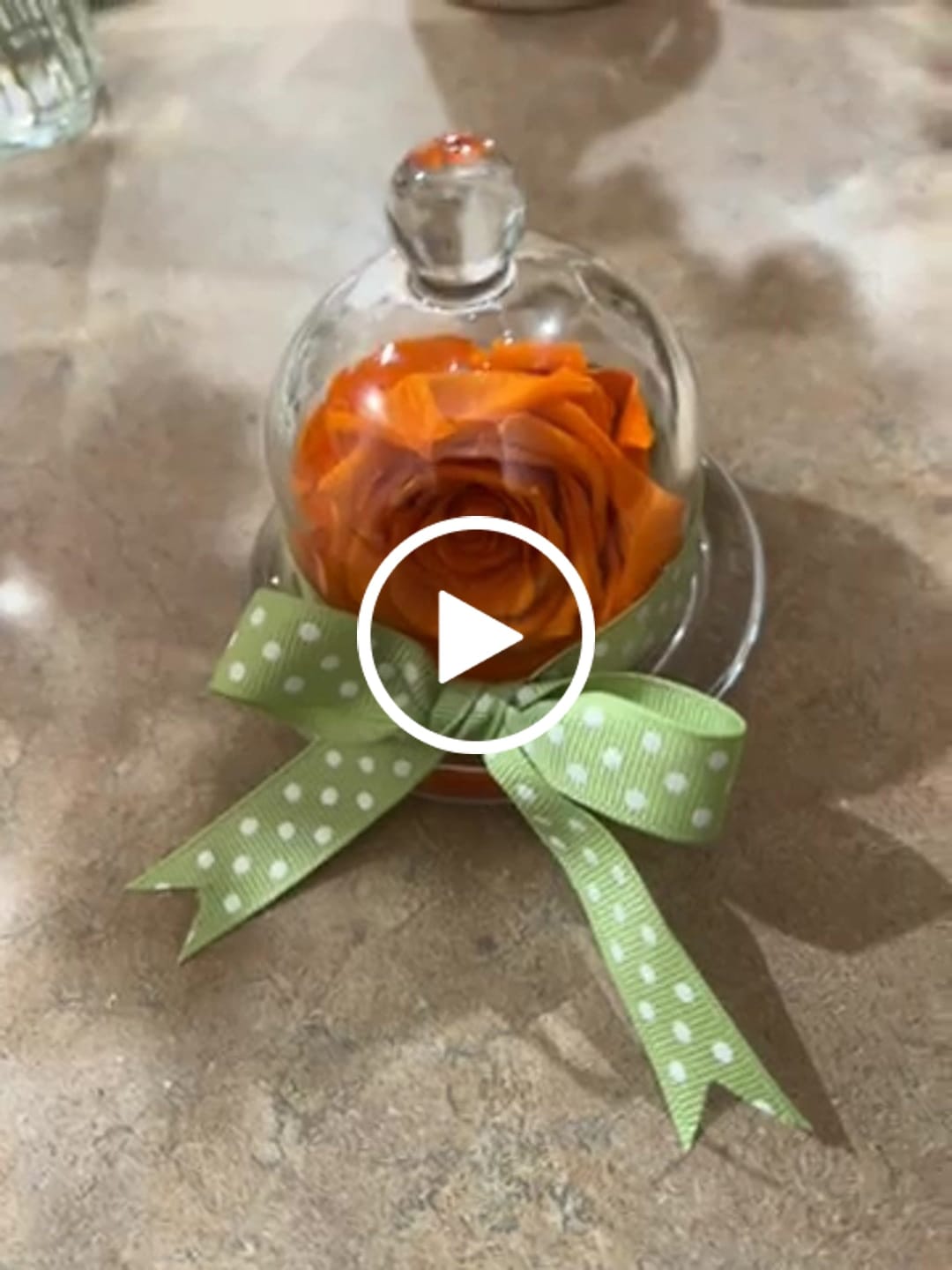 Customer video review of Rosa Eterna Monet's con Capelo