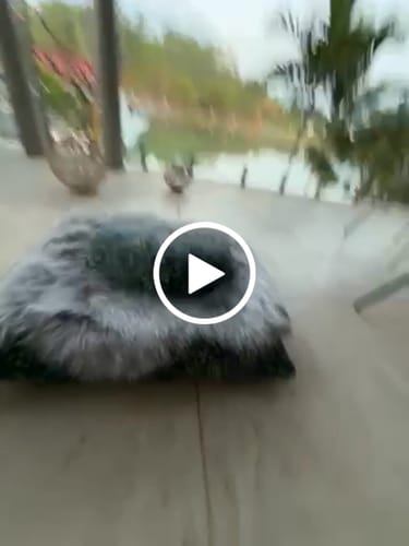 Customer video review of Ajrakh Fig Leaf Blue - Meditation Comfort Bundle