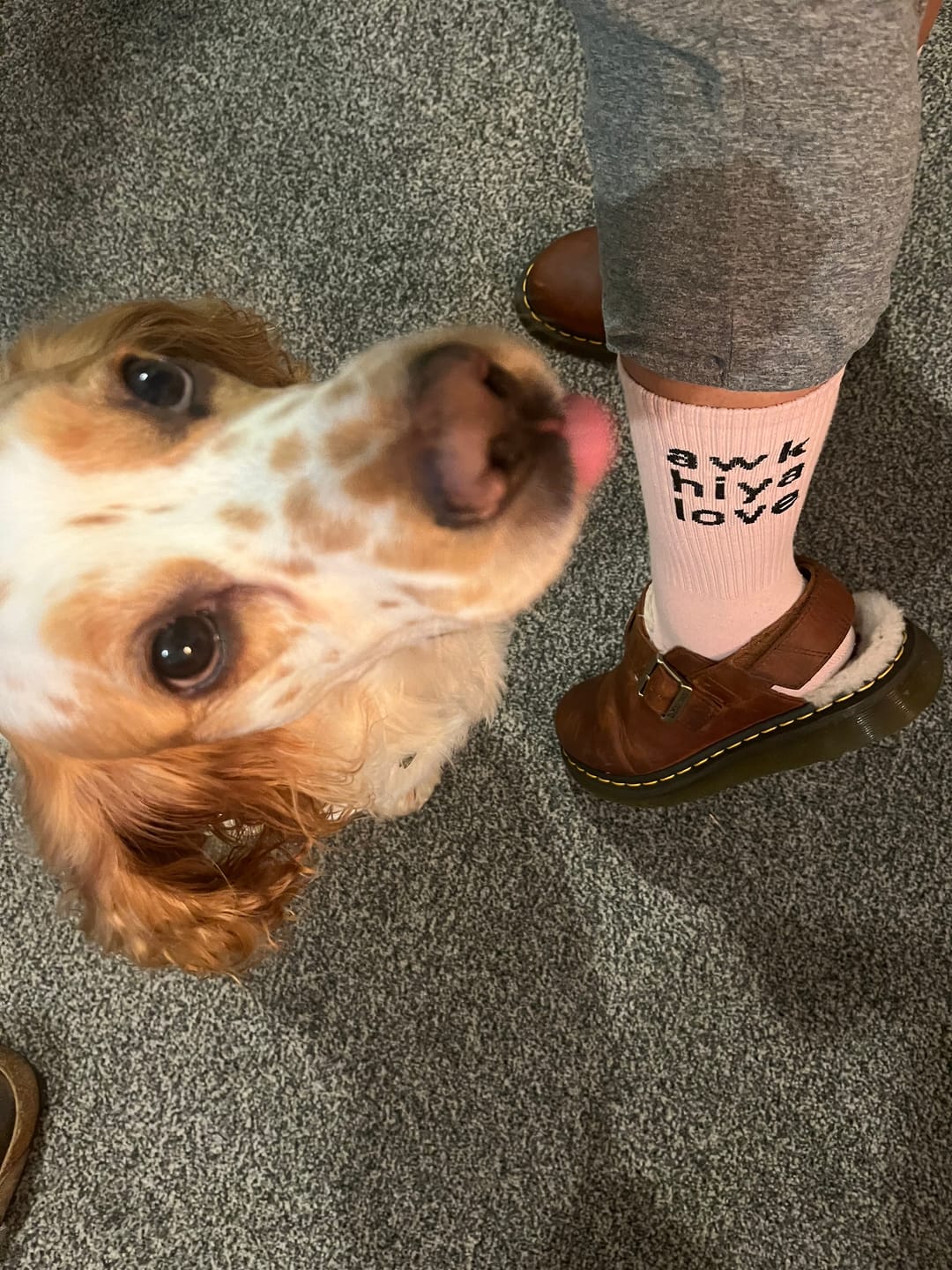Customer photo review of Awk Hiya Love Socks
