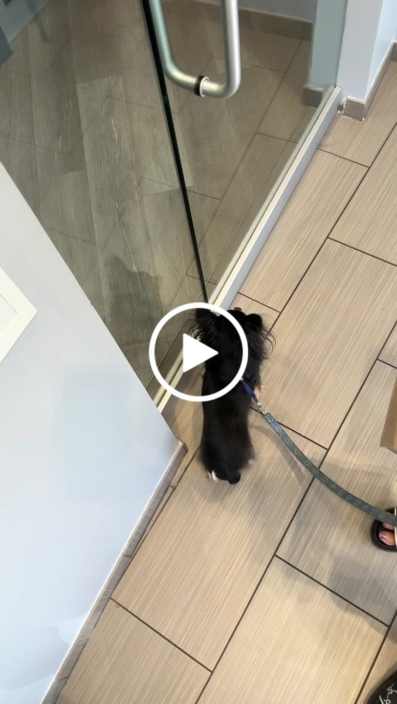 Customer video review of Sequoia Necklace