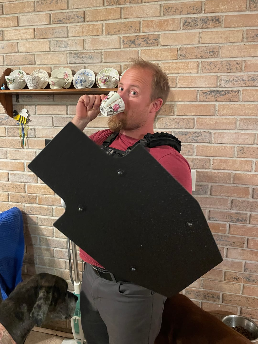 Customer photo review of RTS Tactical Level III+ Rifle Special Threats Mini Shield