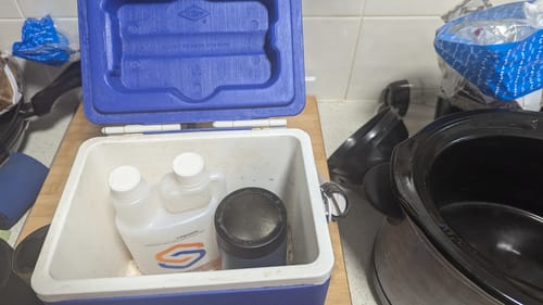 Customer photo review of The Standard Squeeze (Original)