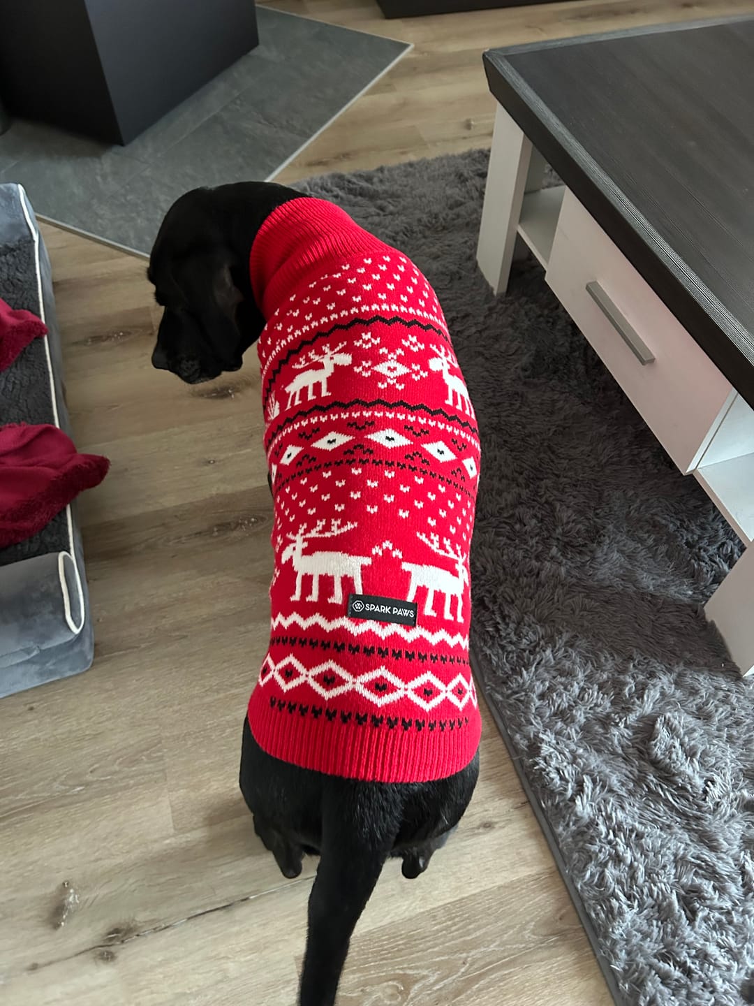 Customer photo review of Christmas Dog Knit Sweater