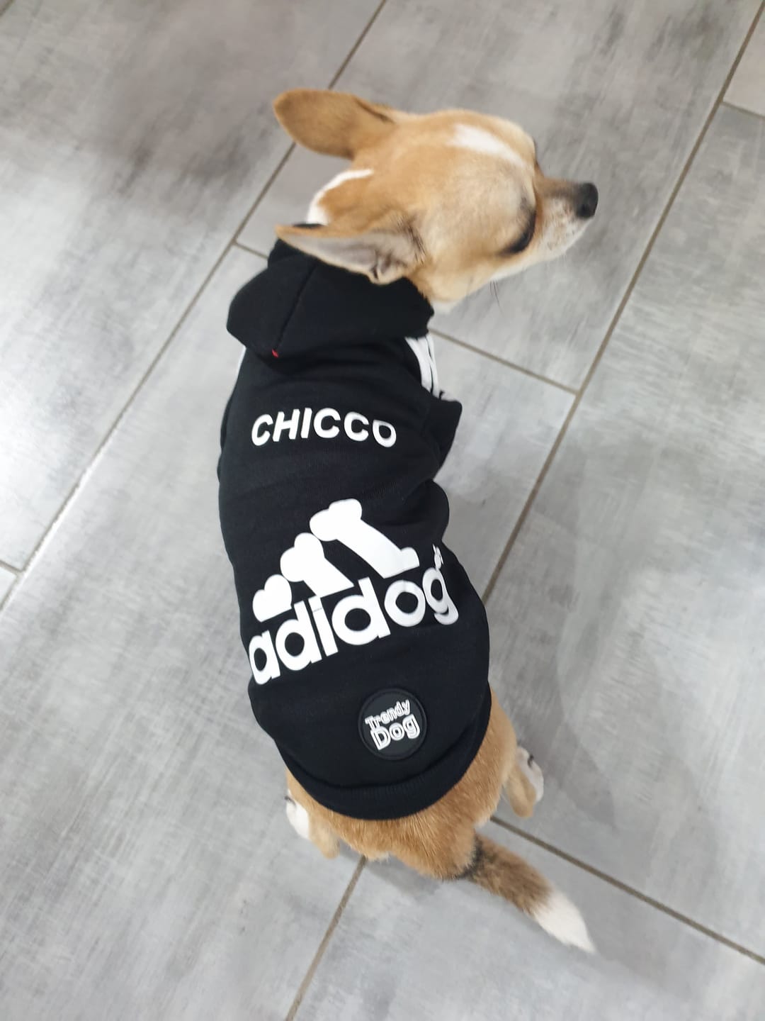 Customer photo review of Felpa "Adidog" Nera Personalizzabile con nome