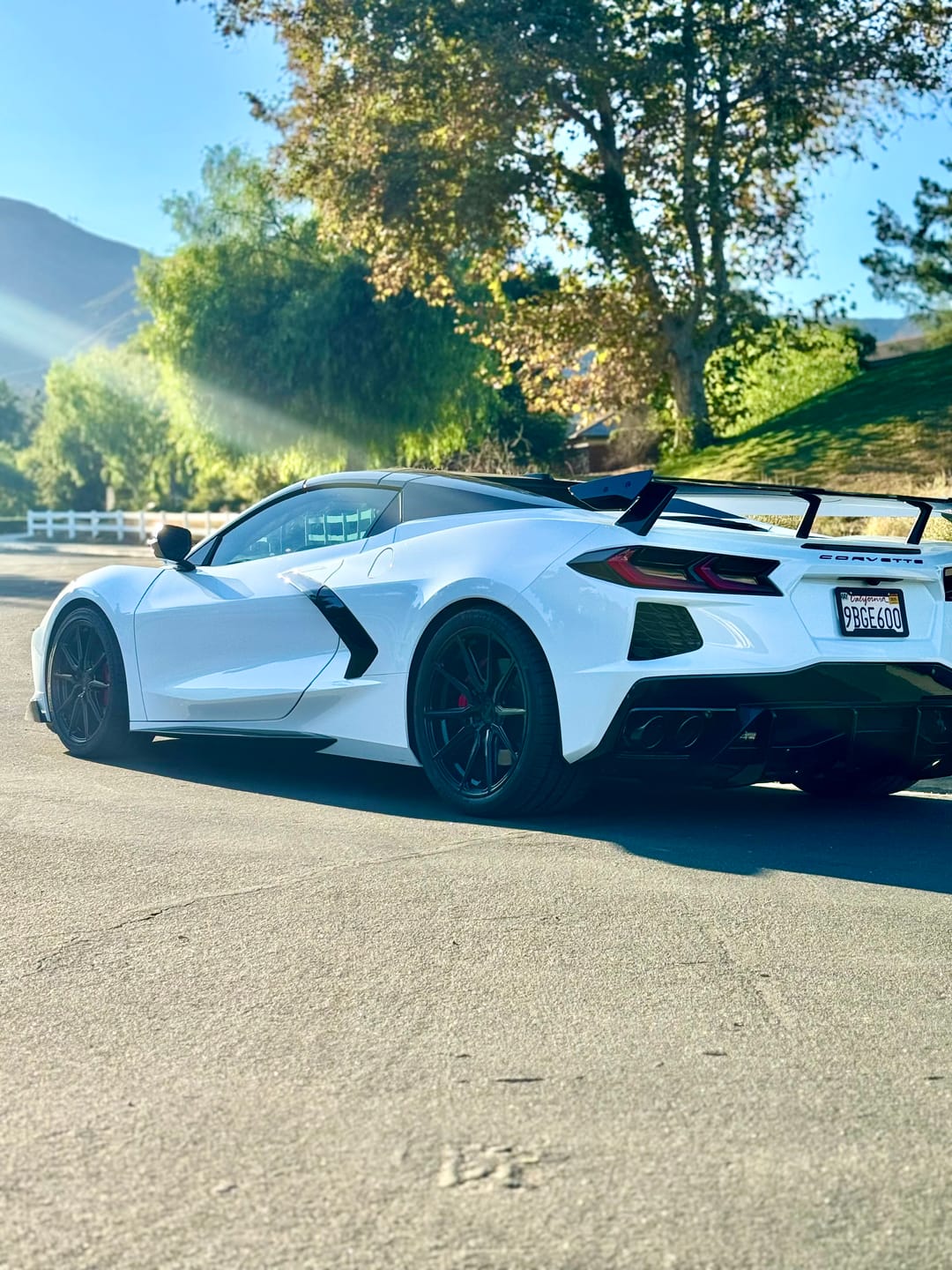 Customer photo review of Chevrolet Corvette C8 5VM Rear High Wing