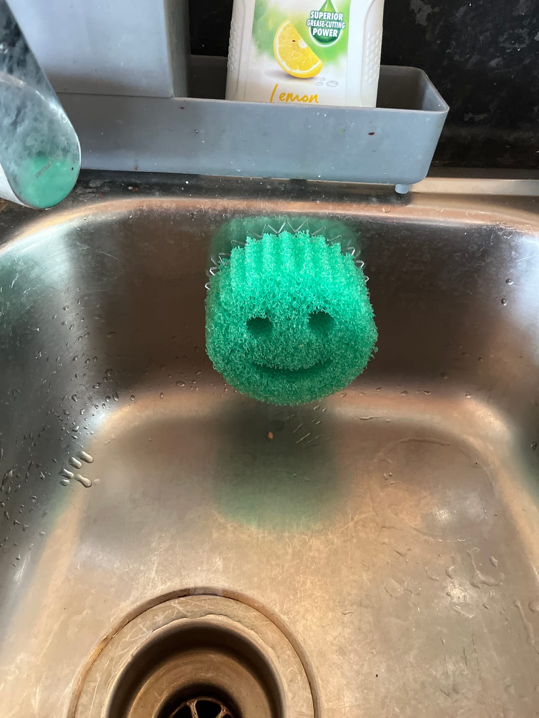 Customer photo review of Scrub Daddy Colours 4 Pack