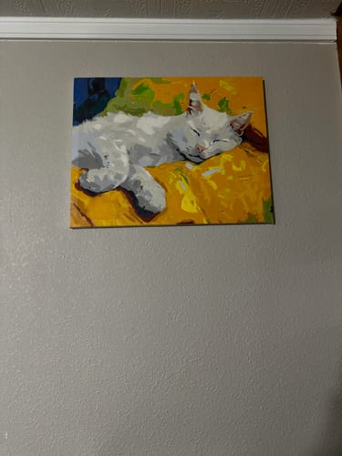 Customer photo review of Sleepy Feline