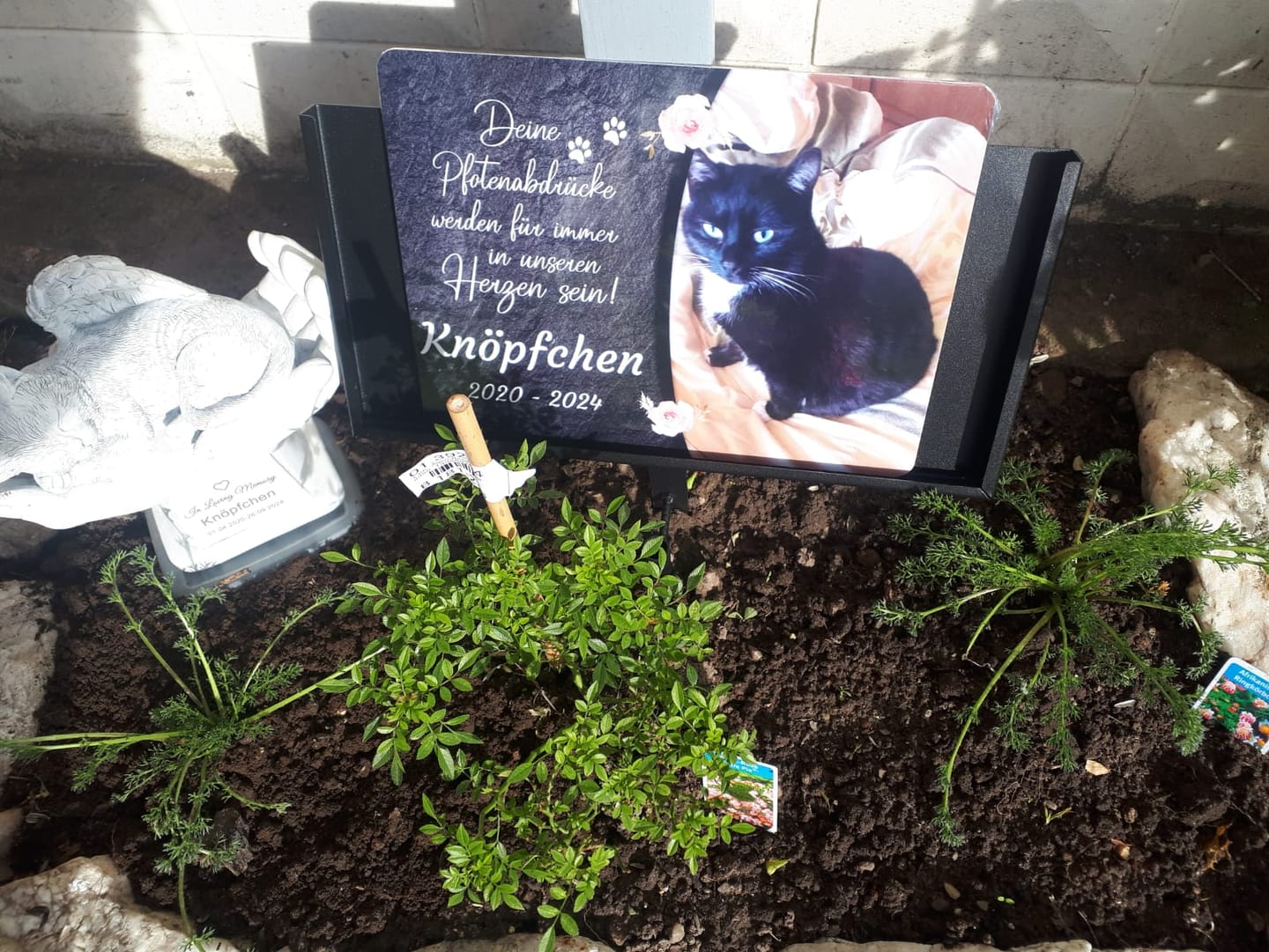 Customer photo review of Hunde-Türschild personalisiert mit Foto & Text (UV- und wetterfest)