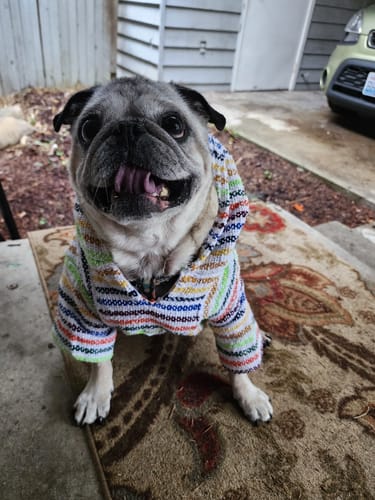 Customer photo review of Playa Poncho - Surprise Color