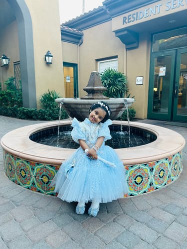 Customer photo review of Luxurious Baby Girl Sequins Embroidery Dress Toddler Birthday  Party Dresses