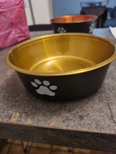 Customer photo review of Stainless Steel Anti-Slip Dog Bowls and Water Fountains: Feeding Accessories for Small, Medium, and Large Dogs