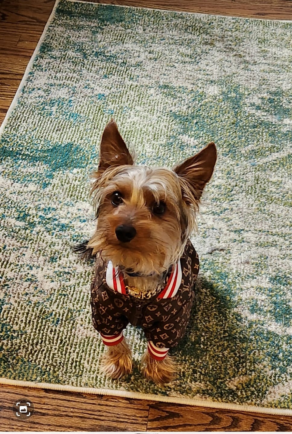 Customer photo review of Premium Shipping