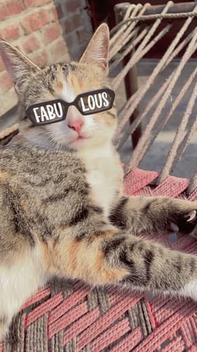 Customer photo review of Apricot Brightening Scrub 200ml