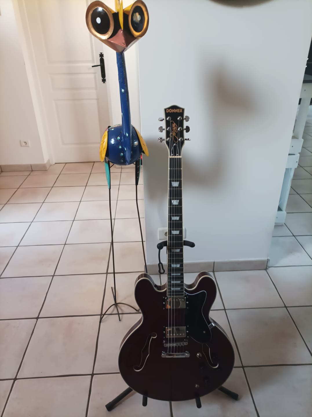 Customer photo review of Donner DJP-1000 Guitare Jazz Électrique