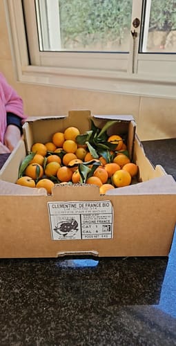 Christine B. review of Clémentines Bio - Origine Corse image 1 out of 1