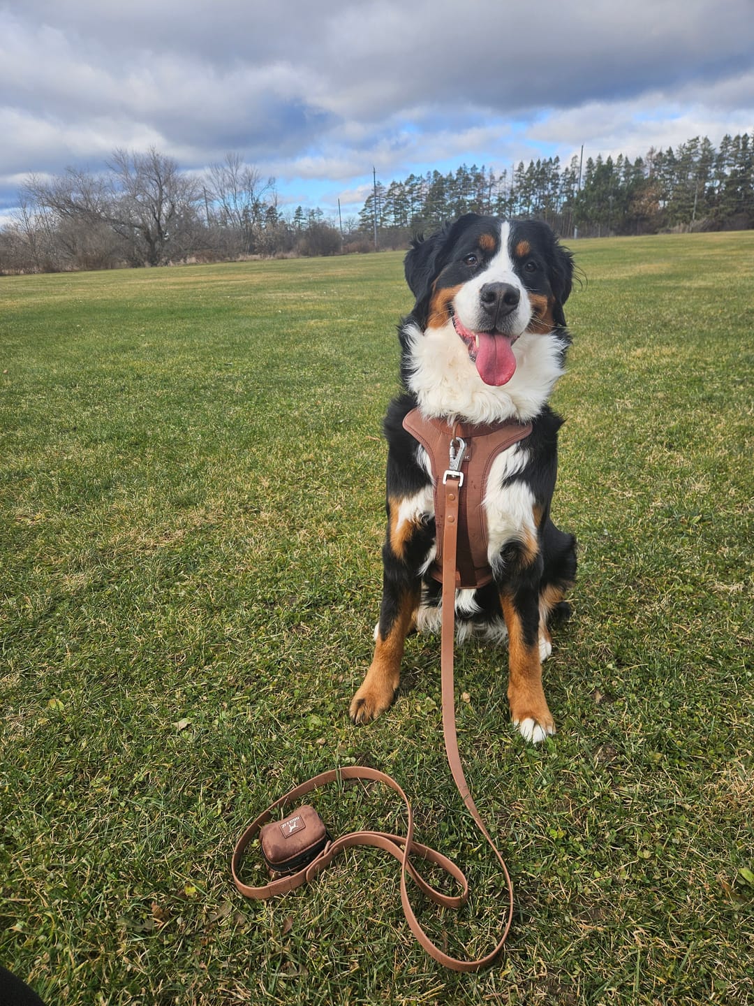 Customer photo review of Solace Waterproof Leash