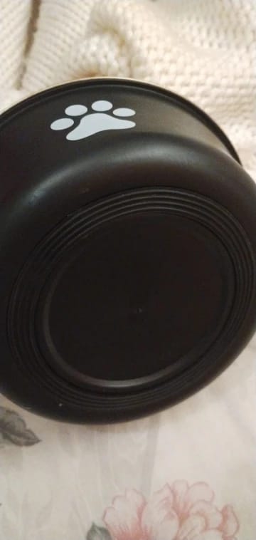Customer photo review of Stainless Steel Anti-Slip Dog Bowls and Water Fountains: Feeding Accessories for Small, Medium, and Large Dogs