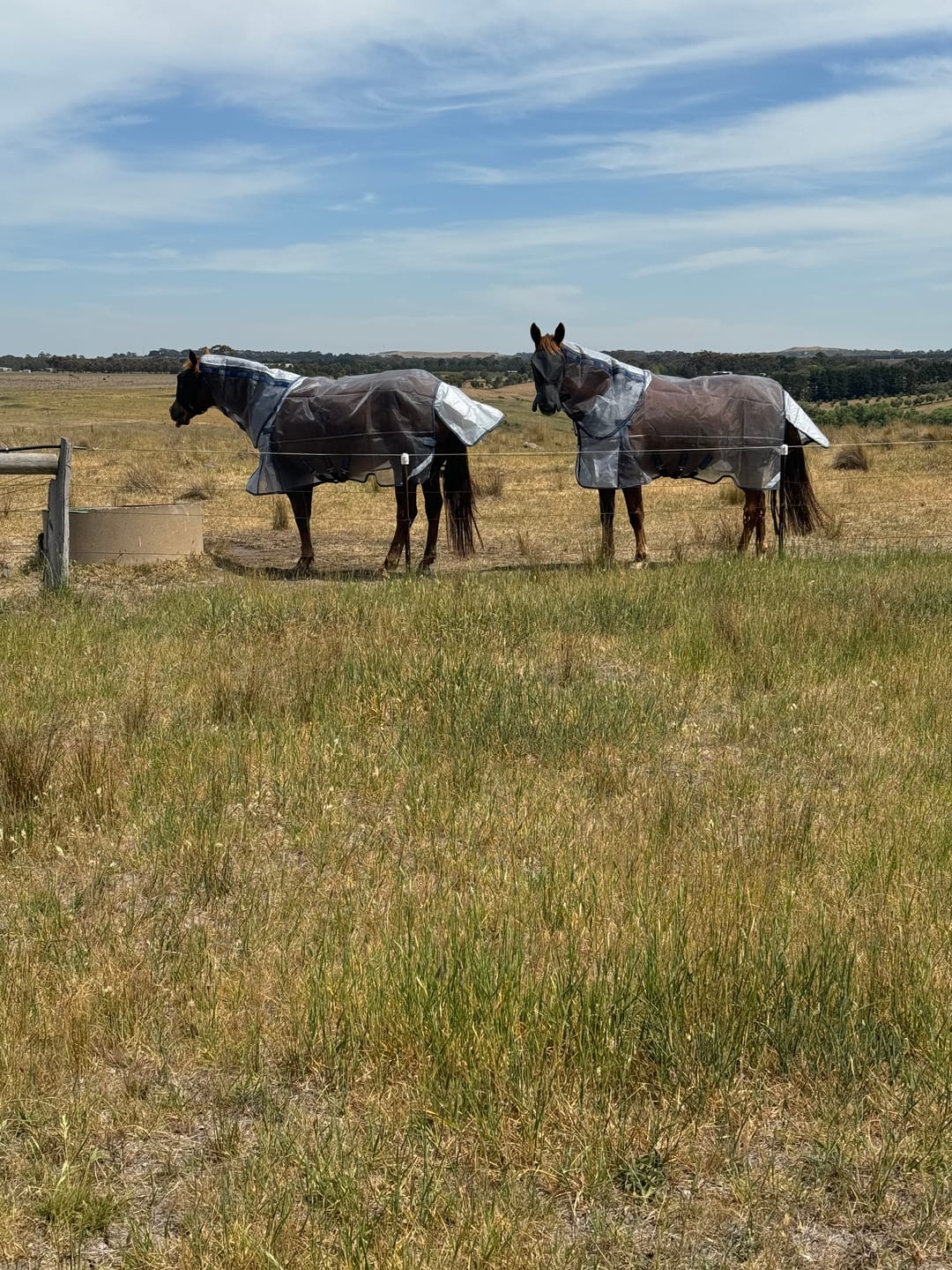 Customer photo review of LE Defender Anti-Insect Fly Rug