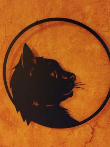 Customer photo review of Profil de chat