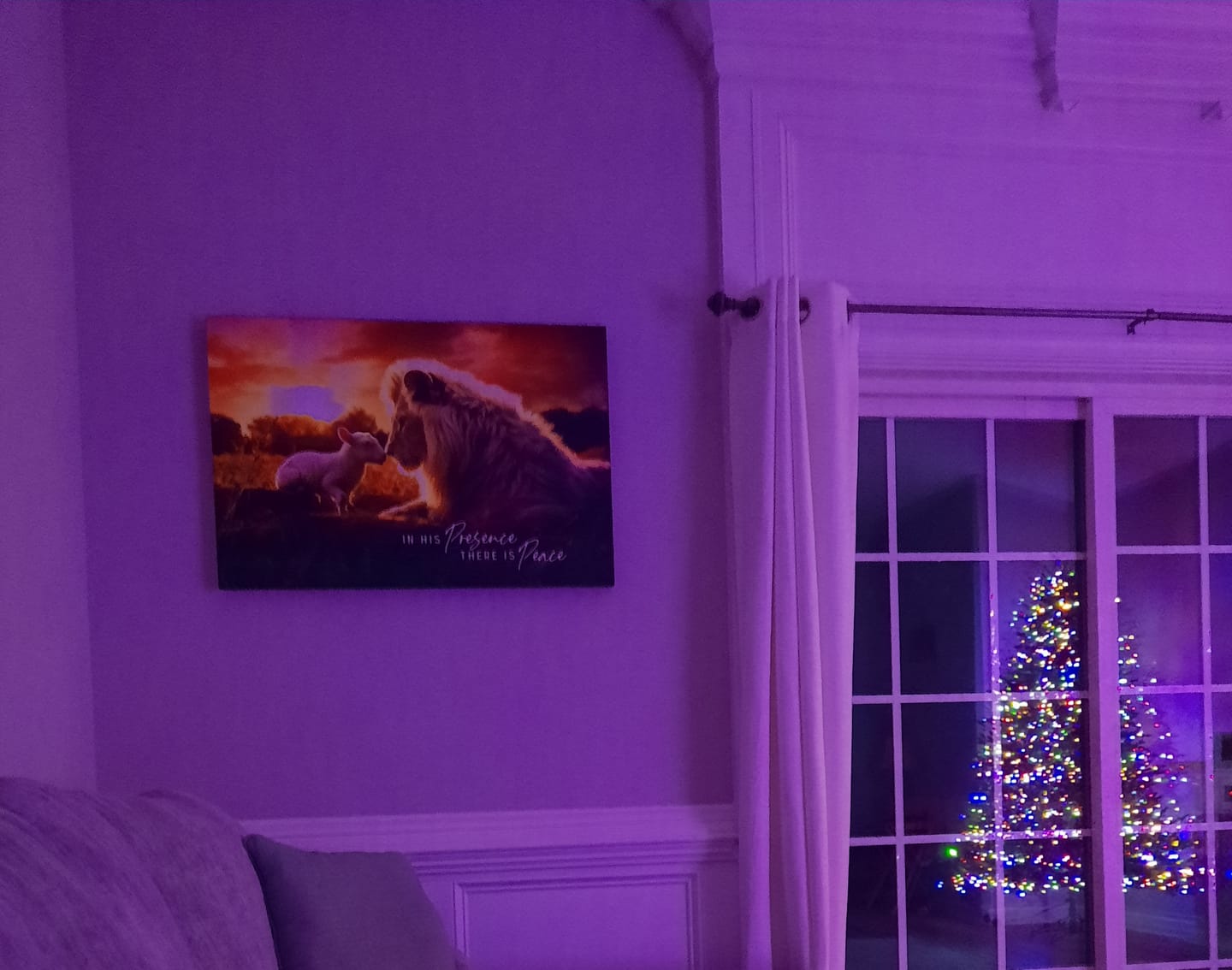 Customer photo review of In His Presence There is Peace, Lion and Lamb, Wall Art Canvas