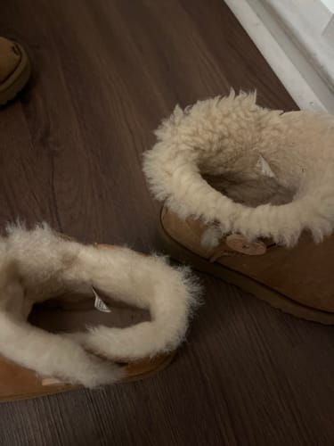 Customer photo review of UGG Australia Mini Bailey Button ll Women's Boots