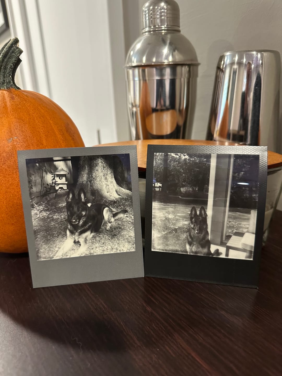 Customer photo review of Polaroid SX-70 Alpha Black With Chrome Folding Instant Film Camera