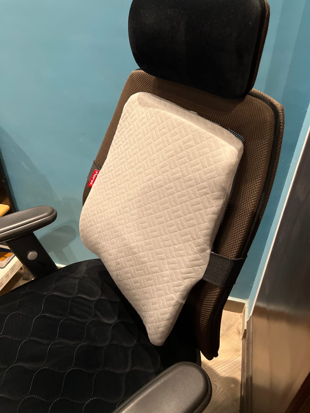 Customer photo review of Ruf- Full back Support Pillow