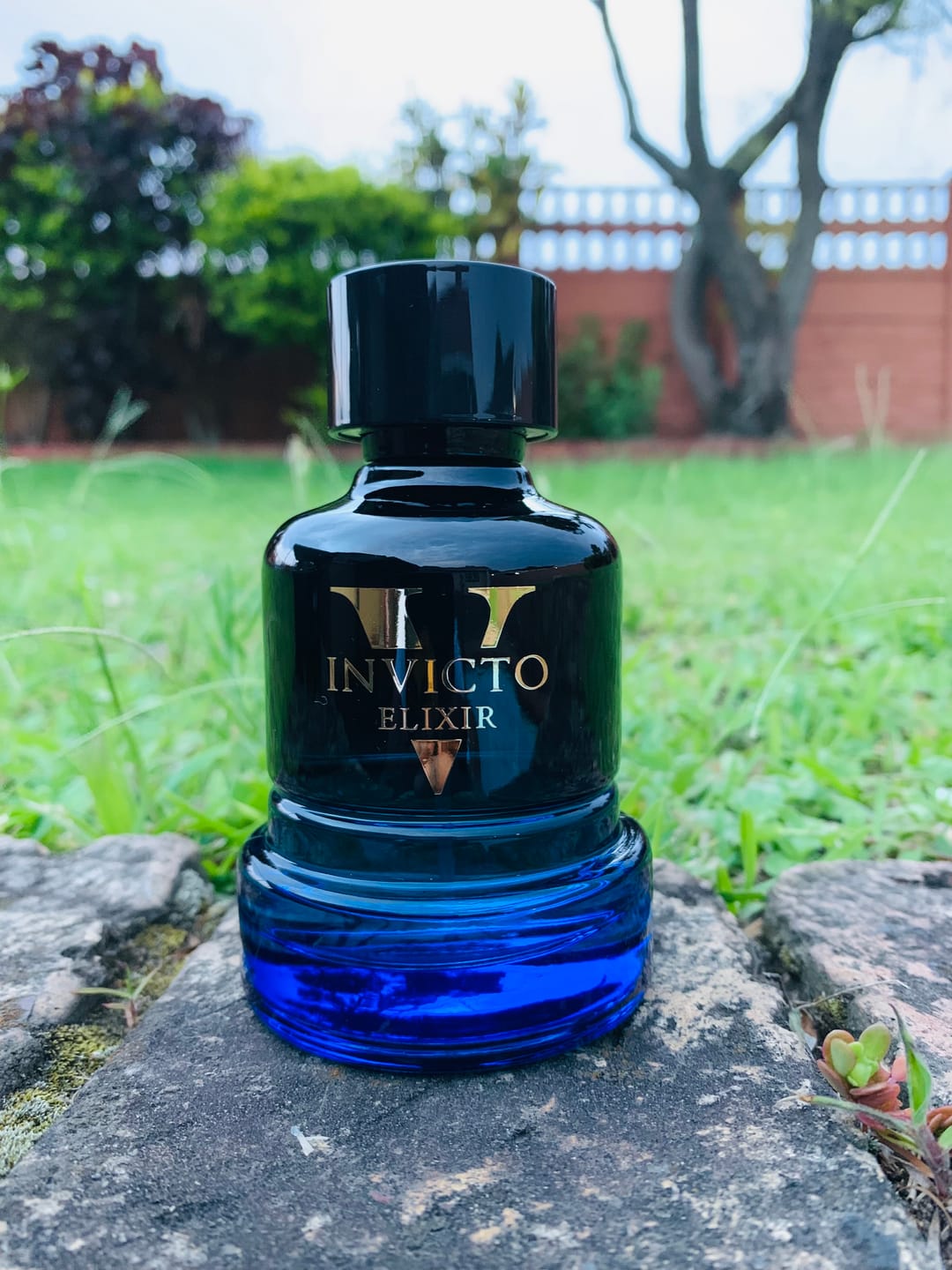 Customer photo review of Invicto Victorious Elixir 100ml