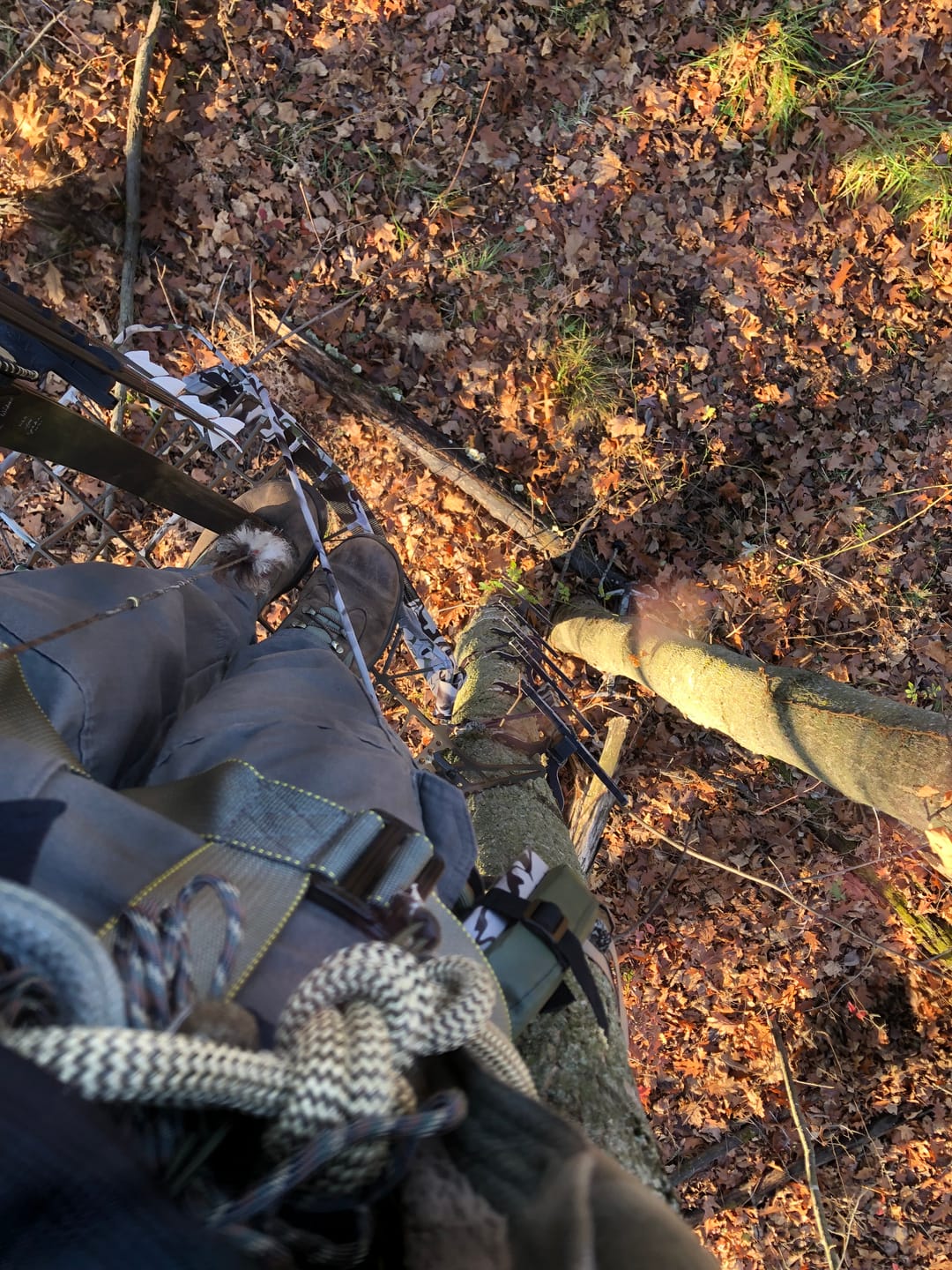 Customer photo review of HANG-ON TREESTAND