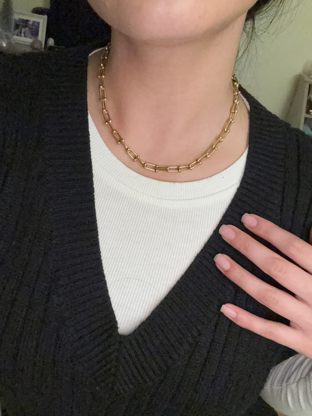 Customer photo review of Collar Tifany