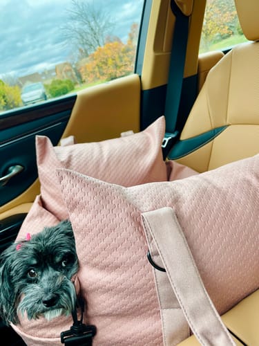 Customer photo review of Sleeping Paws Luxe Pooch Pad