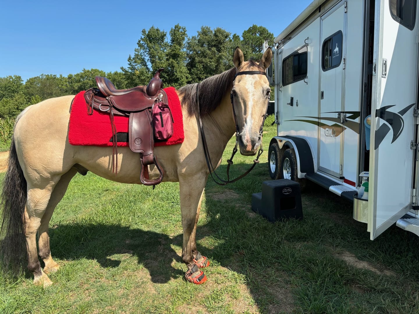 Customer photo review of Renegade® Viper™ Arizona Copper