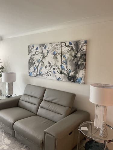 Customer photo review of 'Lucky Blue Bird' Framed Canvas Set of 3