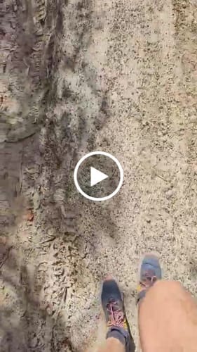 Customer photo review of Trail Hiking - Half Crew Socks