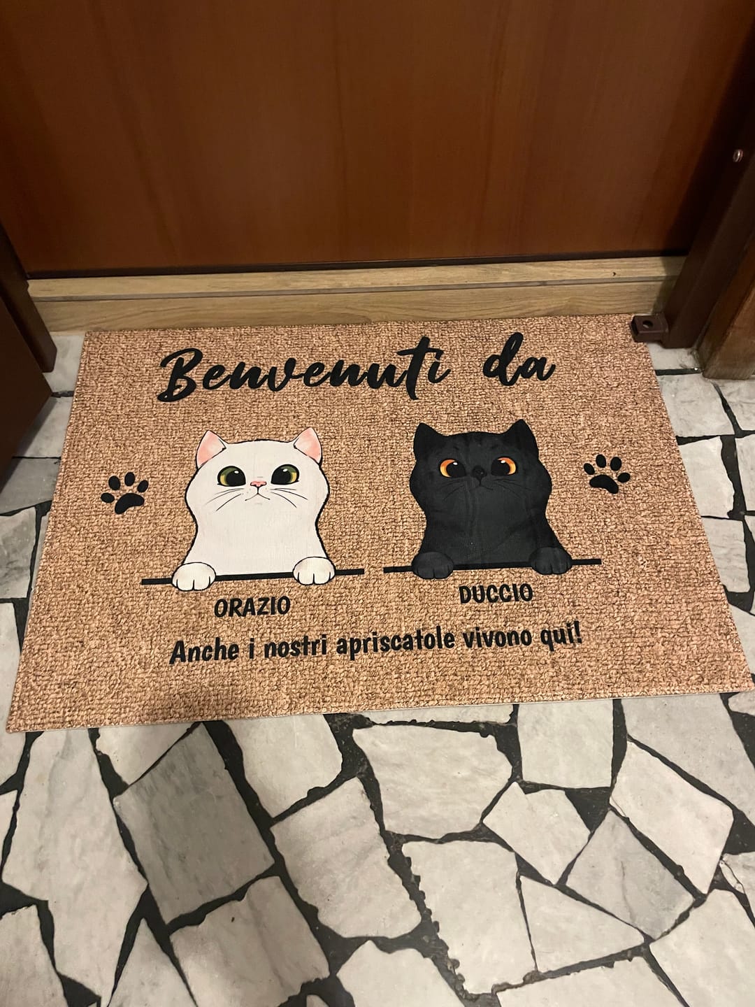 Customer photo review of Benvenuti da gatti curiosi - Zerbino personalizzato