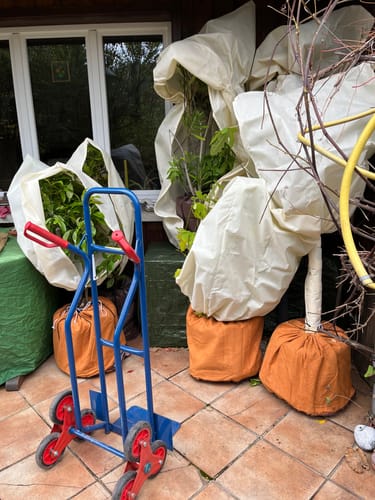 Customer photo review of Winterschutz für Kübelpflanzen XL H 100 x B 80 cm Ø 51 cm