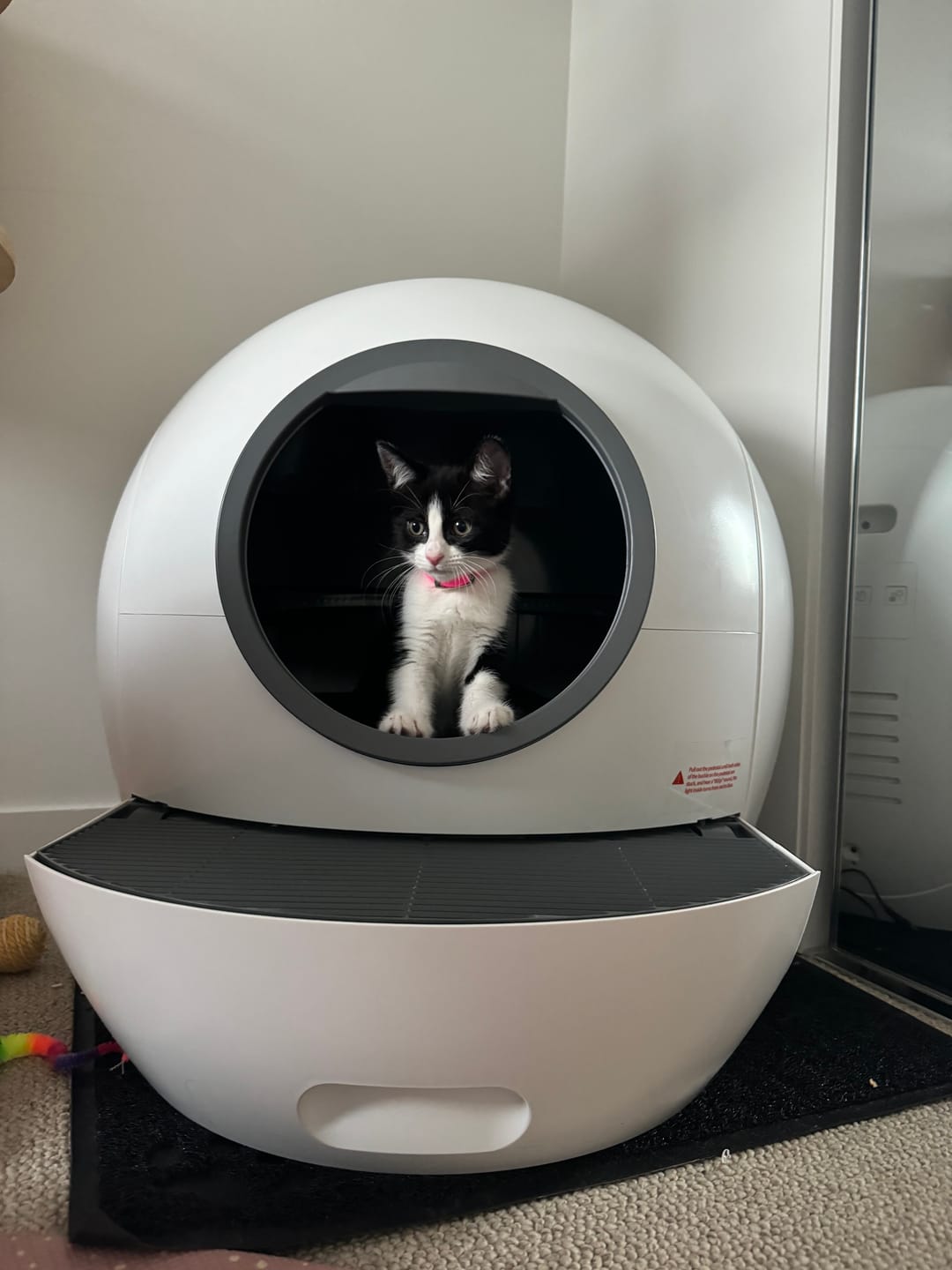 Customer photo review of PaWz Automatic Smart Cat Litter Box Self-Cleaning