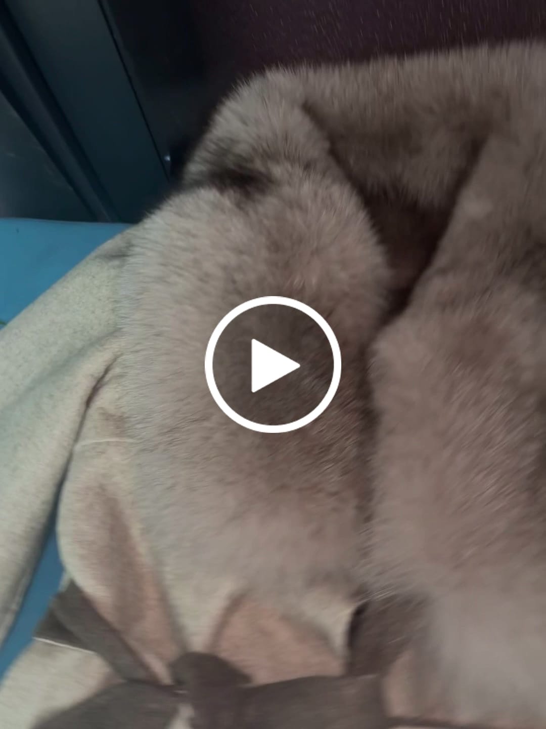 Customer video review of Palton alpaka Ami Beige