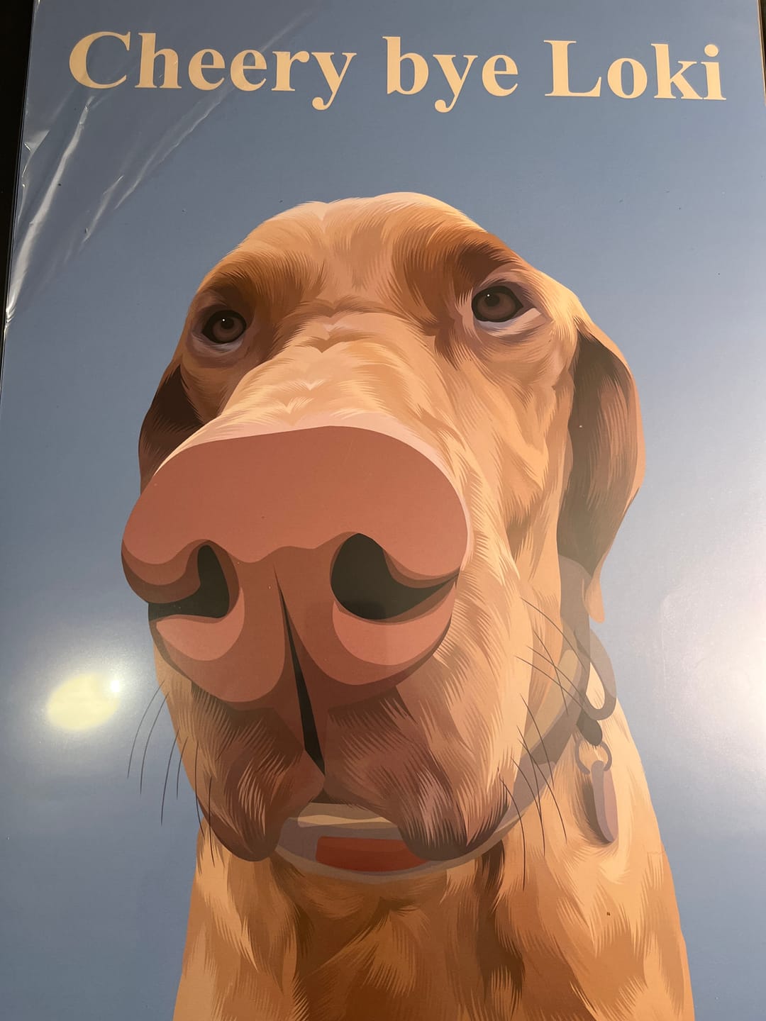 Customer photo review of Custom Modern: Framed Pet Portrait