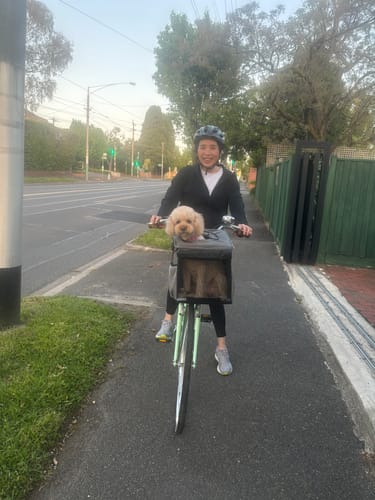 Customer photo review of All In One Pet Carrier Bag | Dog Bike Basket | Backpack for Dogs & Cats | Car Booster Seat