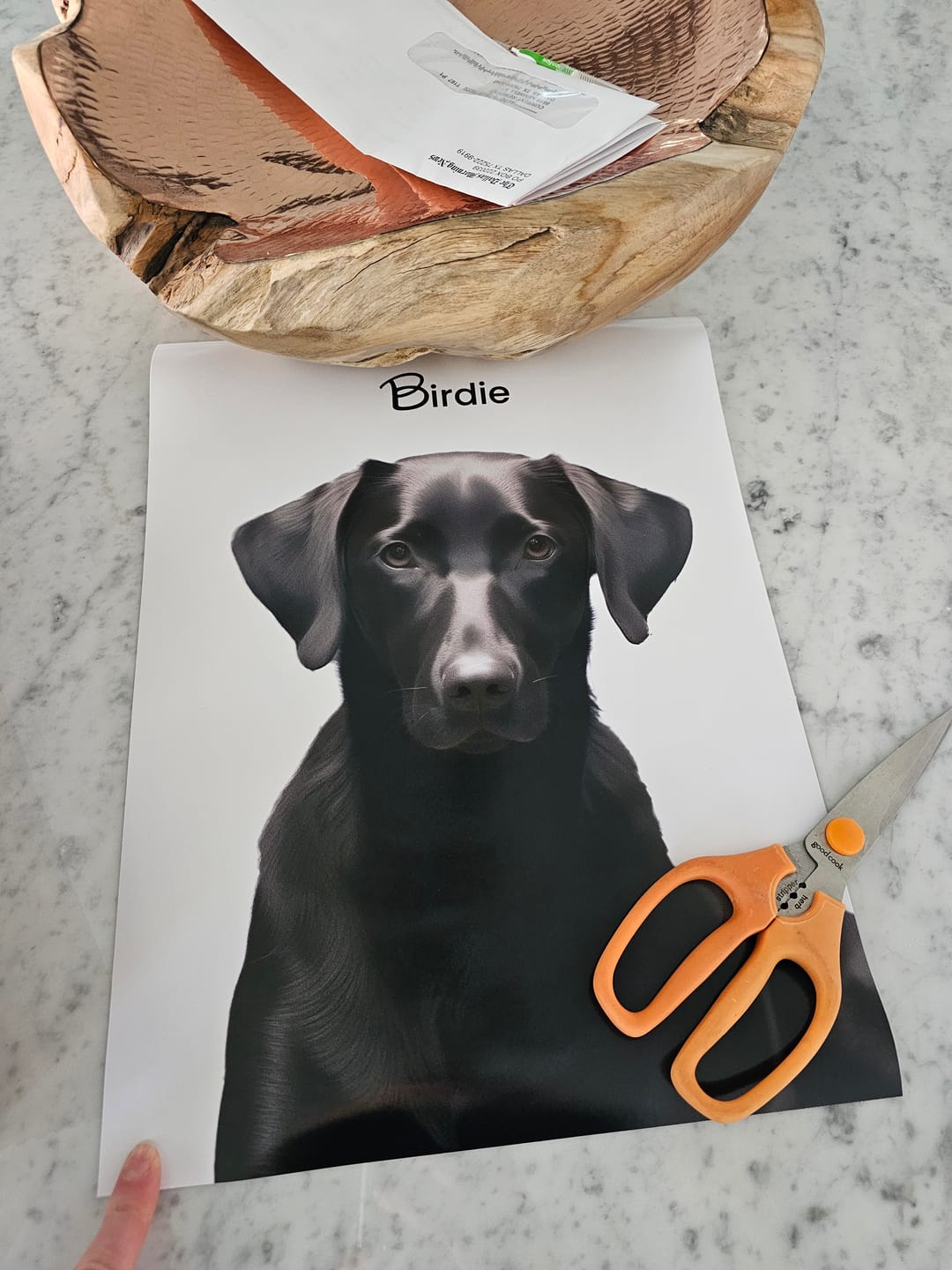 Customer photo review of Watercolor 1 Pet Portrait