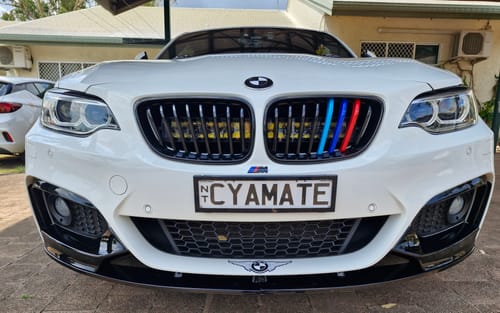 Customer photo review of BMW M Performance Style Front Splitter for F22