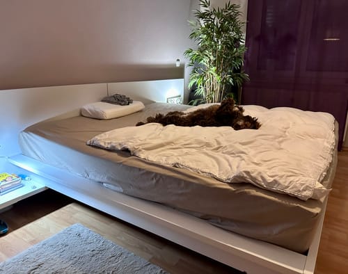 Customer photo review of Hisleep Traummatratze