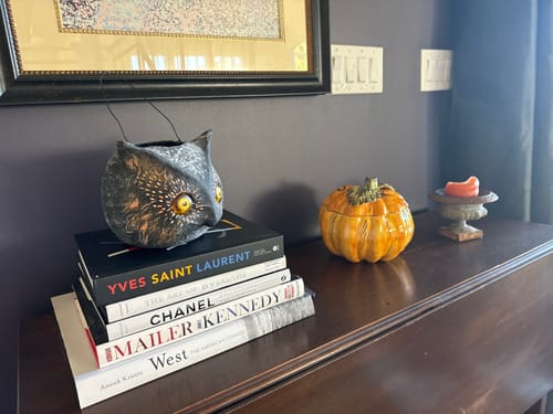 Customer photo review of Owl Candy Bucket