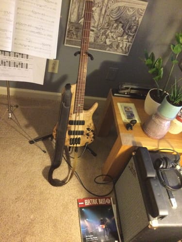 Customer photo review of Santana Sounds Samba Speaker