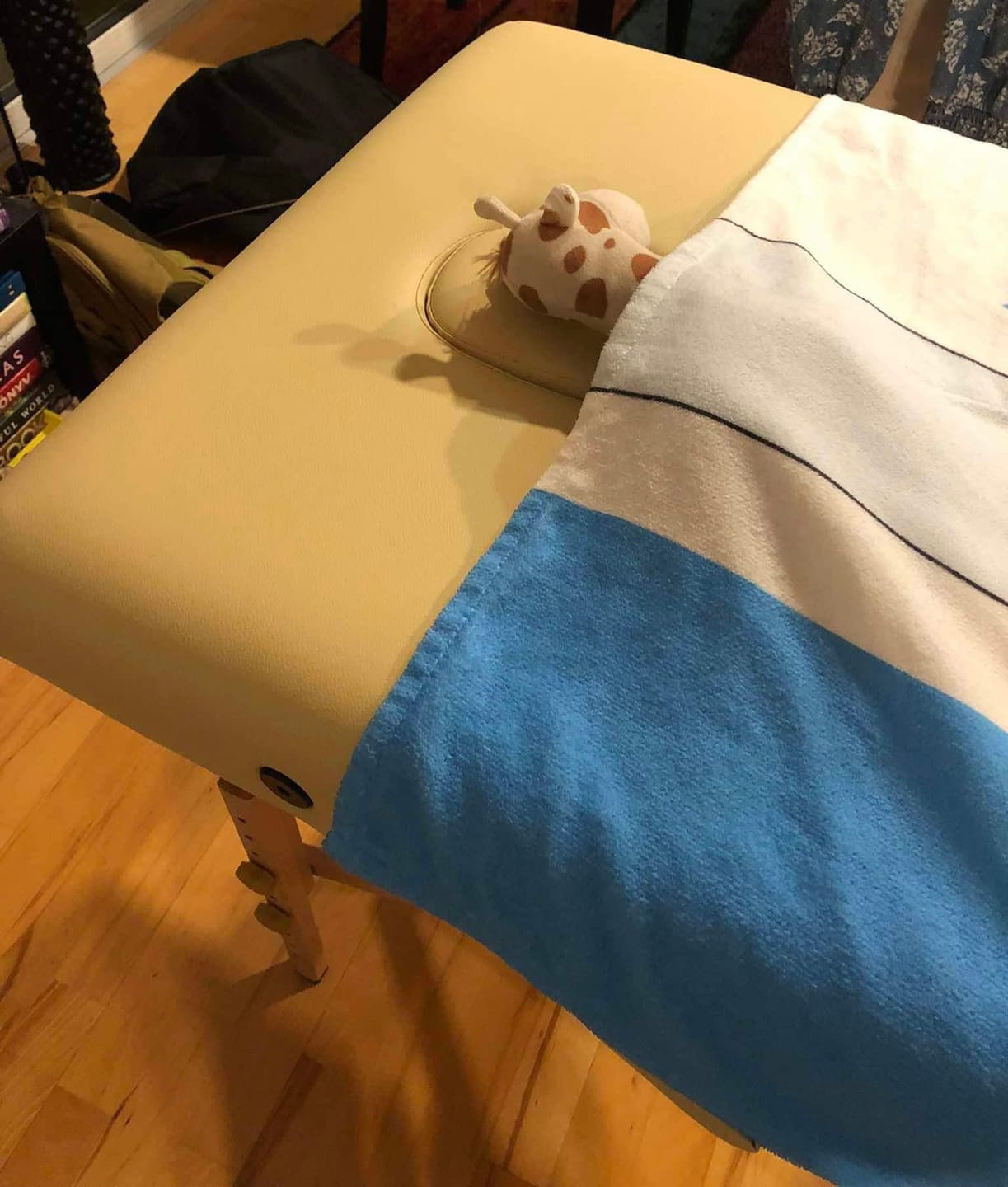 Customer photo review of Massageliege Klappbar Sofia Light